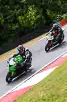 Middle 1 Group Green Bikes
